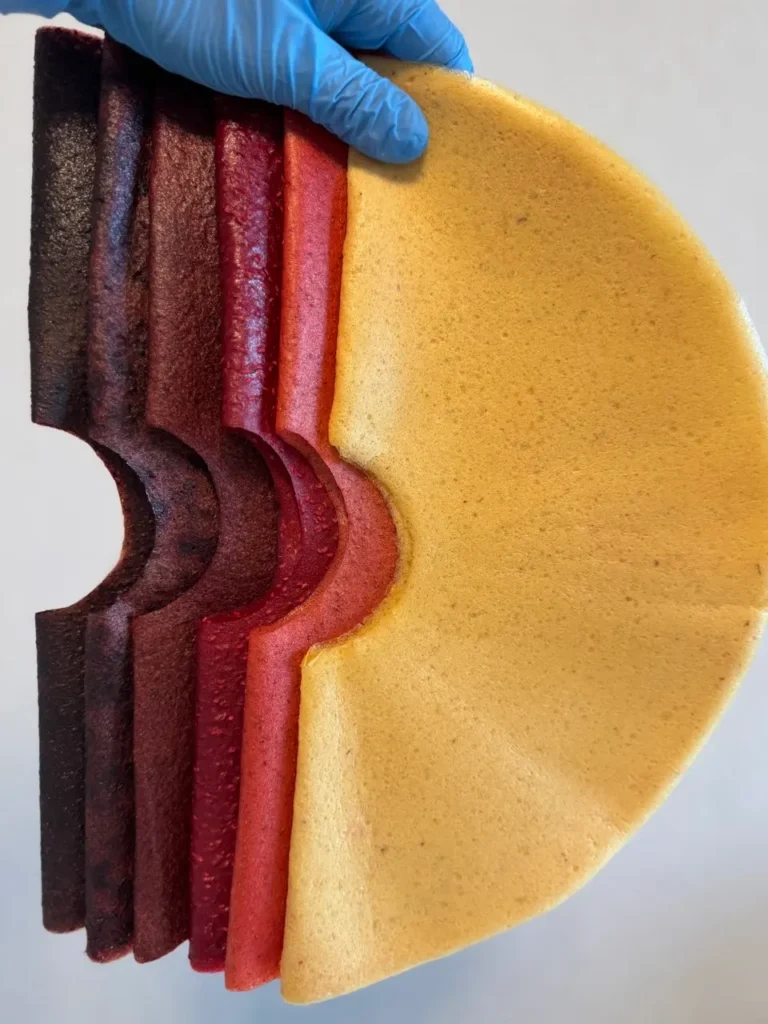 Eine Hand in einem blauen Handschuh hält verschiedene Lagen bunter Fruchtleder-Pastila in Fächerform, von hellgelb bis dunkelviolett, auf weissem Hintergrund.